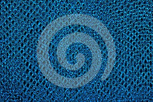 Blue snake skin background