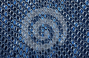 Blue snake skin background