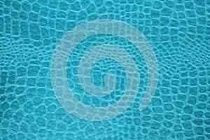 Blue snake skin texture background.