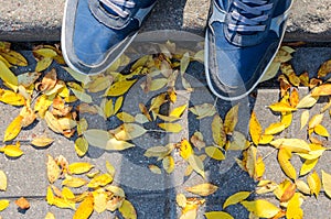Blue Sneakers on the Autumn Pavement.