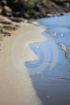 Blue soft wave on sandy beach with shell at summer sunny day