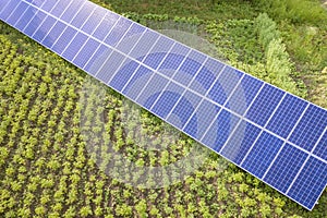 Blue solar panels for clean energy on green grass