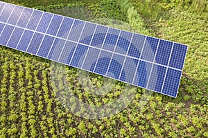 Blue solar panels for clean energy on green grass