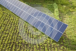 Blue solar panels for clean energy on green grass