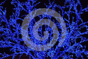 Blue sparkling tree lights at night