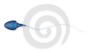 Blue sperm isolated on white photo