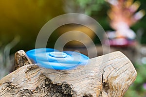 Blue spinner hand on stump.