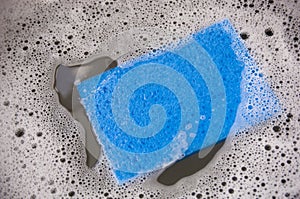 Blue Dish Sponge in Sink
