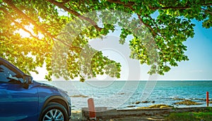 Blue sport SUV car parked by the tropical sea under umbrella tree. Summer vacation at the beach. Summer travel by car. Road trip.