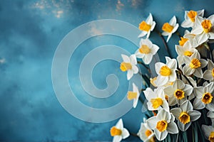 blue spring background with daffodil flowers