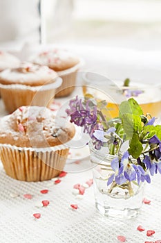 Blue spring flowers viola, muffins and cup of green tea