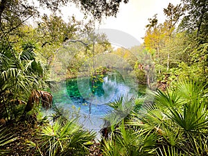 Blue Springs State Park in mid-November before closing for manatee season, Volusia County, Florida