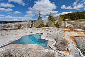 Blue Star Spring, Upper geyser basin, Yellowstone National Park, Wyoming