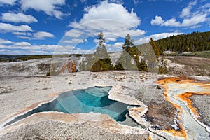 Blue Star Spring, Upper geyser basin, Yellowstone NP