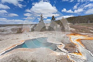 Blue Star Spring, Upper geyser basin, Yellowstone, Wyoming, USA