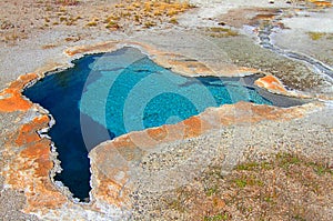 Blue Star Spring In Yellowstone