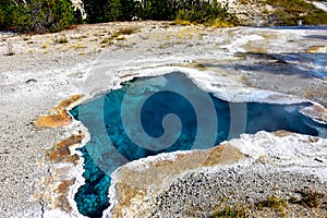 Blue Star Spring in Yellowstone National Park.