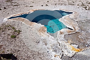 Blue star spring in Yellowstone national park, USA.