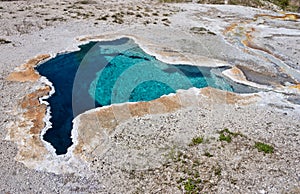 Blue star spring in Yellowstone national park, USA.