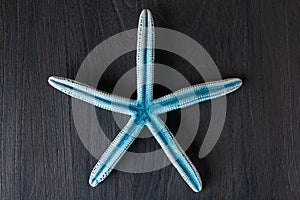 Blue starfish