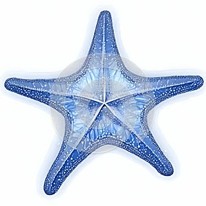 Blue starfish composed Wireframe light connection structure