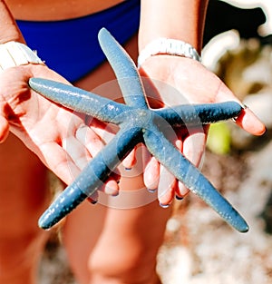 Blue starfish holding in woman hand, Blue starfish found on the white coral sand beach in boracay Philippines. ocean coast