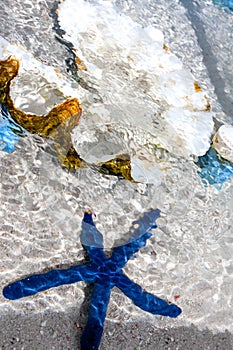 Blue starfish and pearl shell in the clear water.