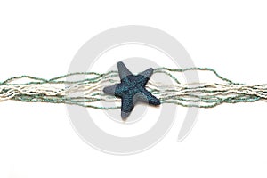 Blue starfish on a white background