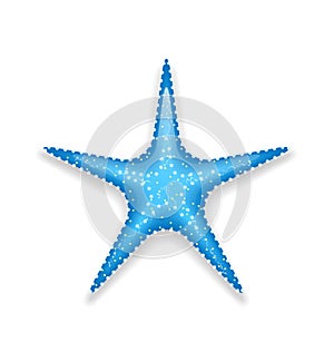 Blue starfish on white background