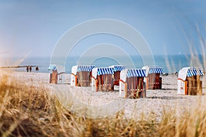 Blue striped roofed chairs on sandy beach on sunny day framed by dune grass in Travemunde. Germany