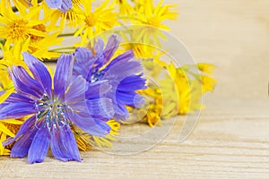 Blue summer flowers lie on a natural wooden background.