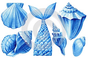 Blue summer set of seashells, isolated white background, watercolor hand-drawing, painting. Sea shells, Mermaid's