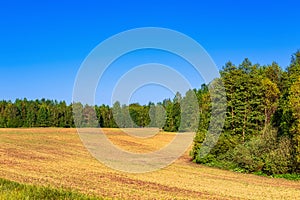Blue summer sky over cultivated field and deciduous forest