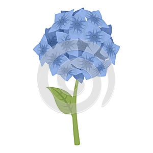 Blue summer spring floral icon cartoon vector. Posy style