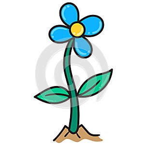 Blue sunflowers bloom blushed doodle kawaii. doodle icon image