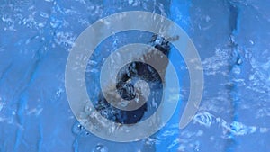 A blue sunglass is submerged in flowing water in the pool