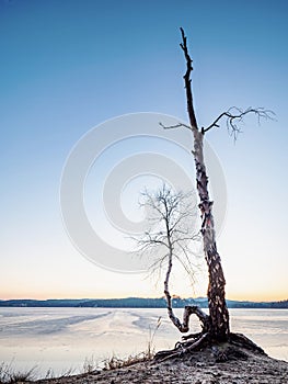 Blue sunset at frozen sea bay. Clear blue sky, deep freeze and clear air