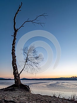 Blue sunset at frozen sea bay. Clear blue sky, deep freeze and clear air