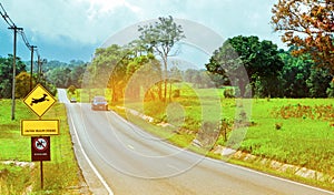 Blue SUV car of the tourist driving with caution during travel at asphalt road near yellow traffic sign with deer jumping