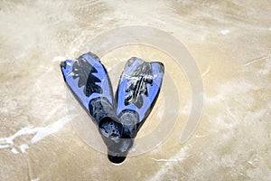 Blue swim fins on the beach