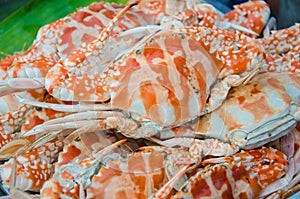 Blue swimming crab baked with salt, seafood