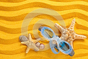 Blue swimming goggles.