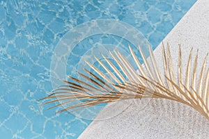 Blue swimming pool water texture with palm leaf in a sunny day