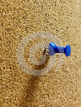 Blue Tack On Tackboard