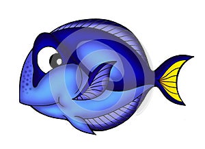 Blue Tang fish