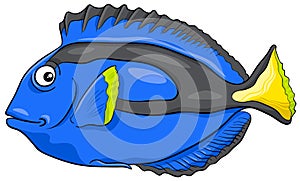 Blue tang fish character