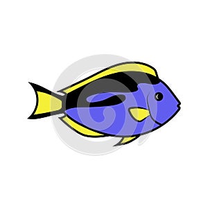 blue tang fish icon design template vector illustration