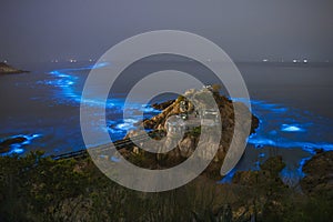 Blue tears Noctiluca scintillans. Photographed in Matsu, Taiwan