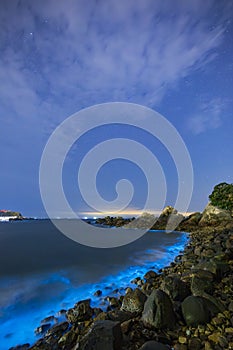 Blue tears Noctiluca under the starry sky.