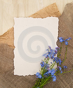 Blue tender forget-me-not flower on rustic brown natural sackcloth canvas background and white paper with free blank